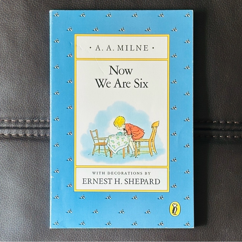 Now We Are Six AA Milne Ernest H Shepard Paperback Book